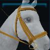 Basic bridle