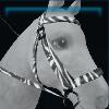 Zebra bridle