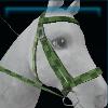 Green checkered bridle