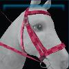 Pink checkered bridle