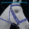 Purple checkered bridle