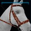 Giraffe bridle