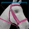 Pink crocodile bridle