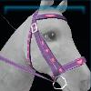 Purple heart bridle