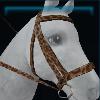 Leopard bridle