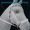 Star Stable bridle