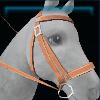 Light Fall bridle
