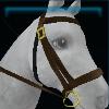 Expert dark Fall bridle