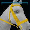 Yellow sporty bridle