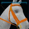 Orange sporty bridle