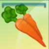 Carrot