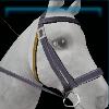 Jorvik bridle