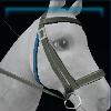 Ocean bridle