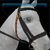 Brown and black Jorvik bridle