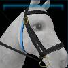 Swimming bridle