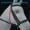 Pink and black Jorvik bridle