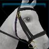 Lilac and black Jorvik bridle