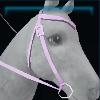 High-end western bridle