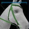 Villager western bridle