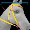 Super Silverglade western bridle