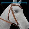 Everwind western bridle