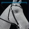 Winter Western bridle