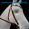 Shiny western bridle