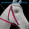 Party western bridle