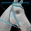 Candy western bridle