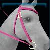 Pink western bridle