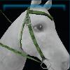 Green-checkered western bridle