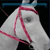 Pink-checkered western bridle