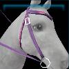 Purple western bridle with hearts