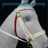 Rose bridle