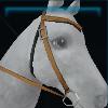 Cowboy set - bridle