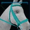 Moon bridle