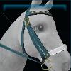 Star Stable bridle