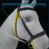 Fine Jarlaheim bridle