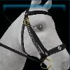 Rustic Jarlaheim bridle