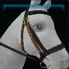 Sensational Jarlaheim bridle