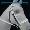 White Winter bridle