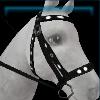 Black Winter bridle