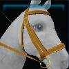 Stable master bridle