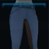 Pale blue riding pants