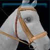 Goldspur bridle