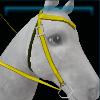 Colorful western bridle