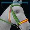 Colorful Spring bridle