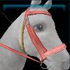 Pink mountain bridle