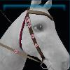 Well-made Spring bridle