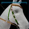Green Spring bridle